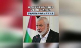 最新爆料的间谍是谁,揭秘最新曝光的神秘人物